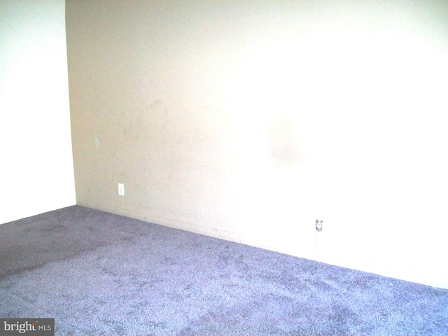 unfurnished room featuring carpet