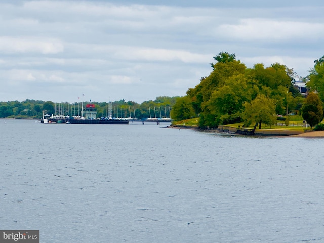 property view of water