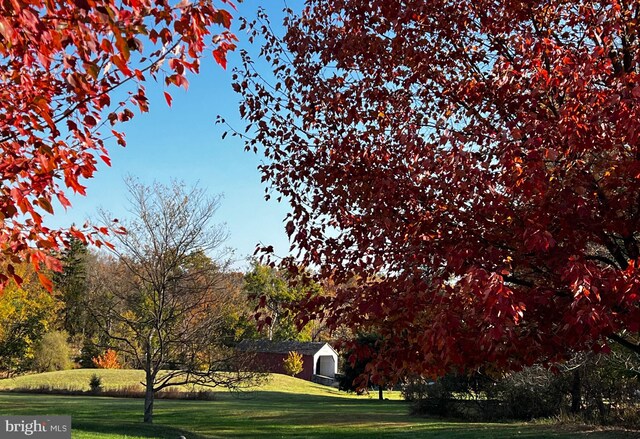 view of home's community featuring a yard and a shed