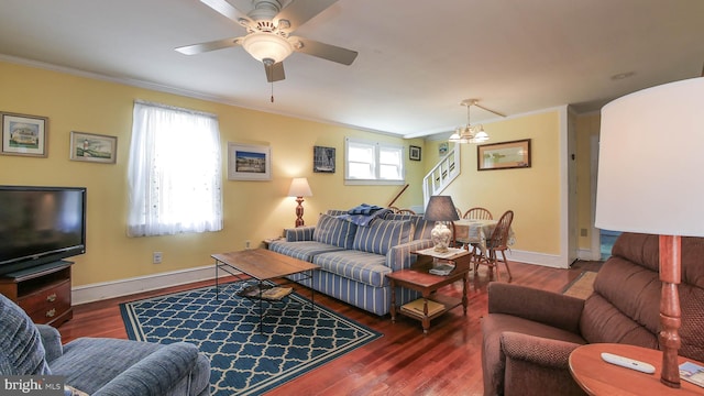 living room featuring ceiling fan with notable chandelier, dark hardwood / wood-style floors, and ornamental molding