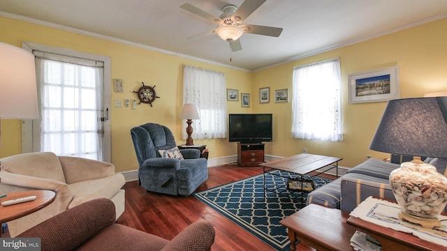 living room featuring crown molding, ceiling fan, dark wood-type flooring, and a wealth of natural light