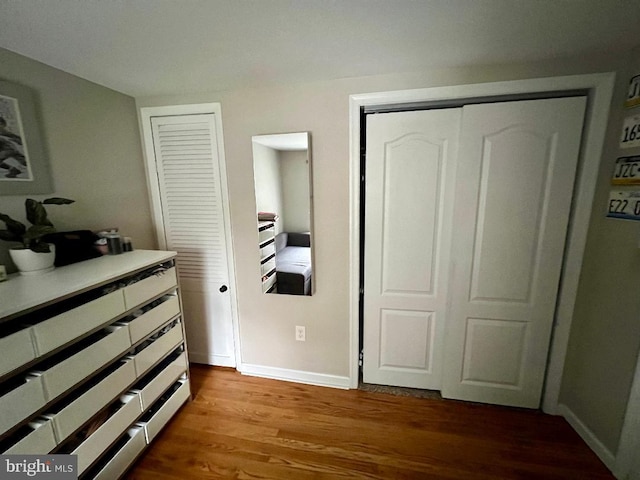 bedroom featuring a closet and wood-type flooring