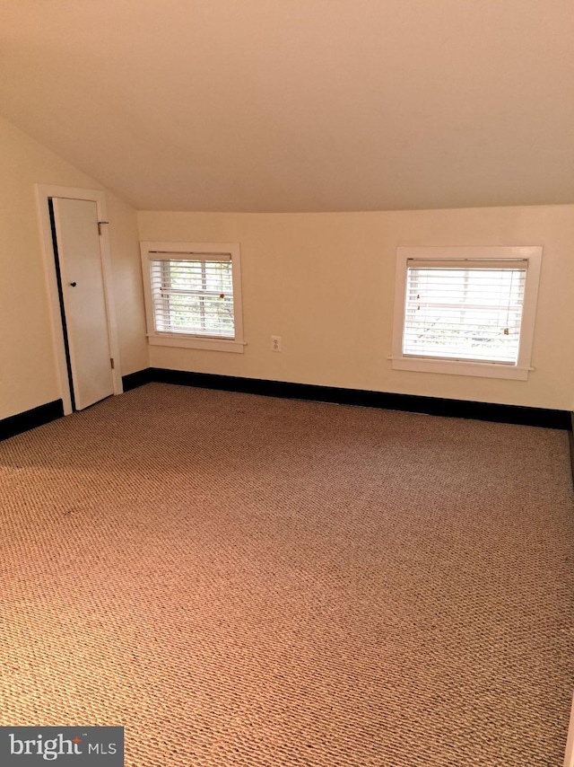 additional living space featuring a healthy amount of sunlight, lofted ceiling, and carpet