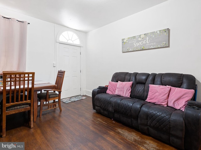 living room featuring dark hardwood / wood-style floors