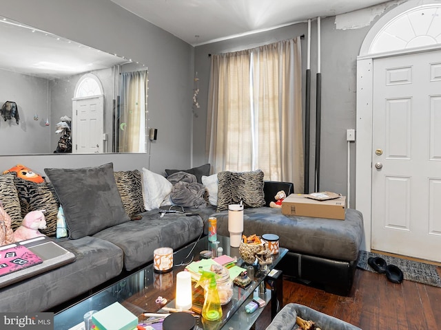 living room with dark hardwood / wood-style floors