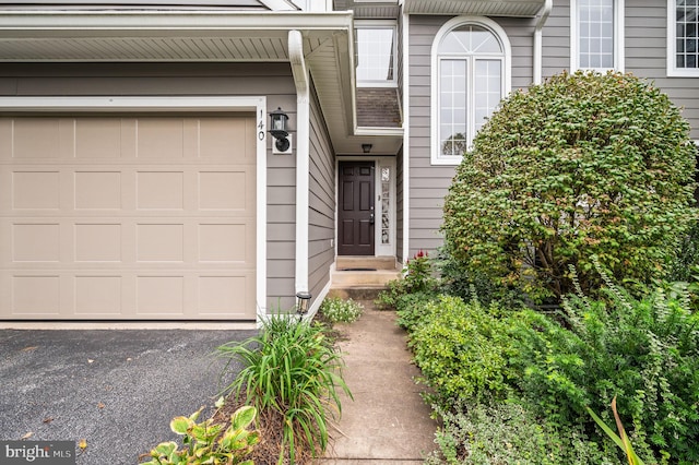 doorway to property featuring a garage