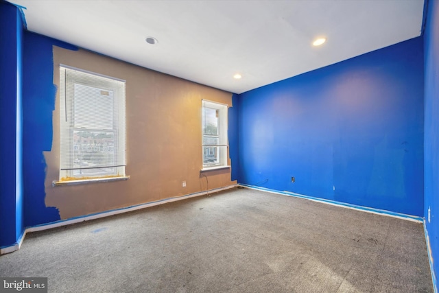 empty room featuring a wealth of natural light and carpet