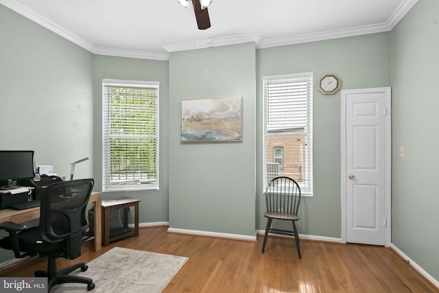 office with ceiling fan, light hardwood / wood-style flooring, and ornamental molding