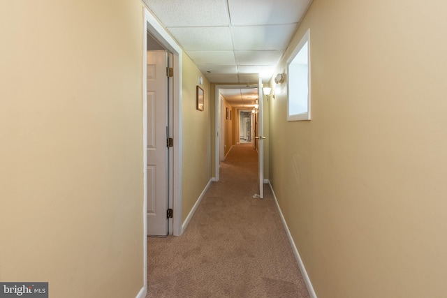 corridor with light colored carpet and a paneled ceiling