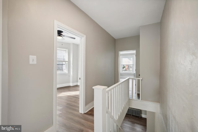 hallway with hardwood / wood-style floors and a healthy amount of sunlight