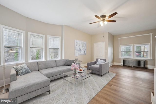 living room with a wealth of natural light, radiator heating unit, hardwood / wood-style floors, and ceiling fan