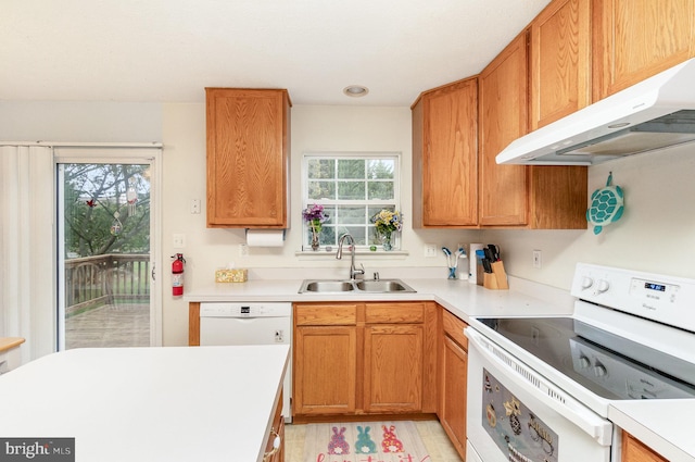 kitchen with range hood, a wealth of natural light, white appliances, and sink