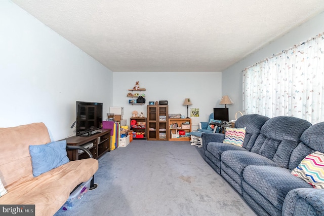 carpeted living room featuring a textured ceiling