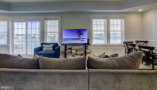 living room with a healthy amount of sunlight and ornamental molding