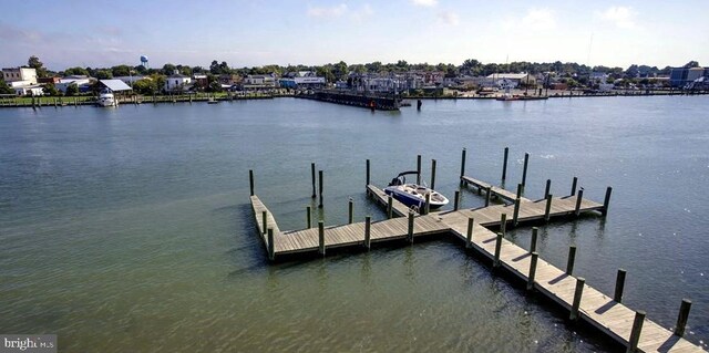 dock area with a water view