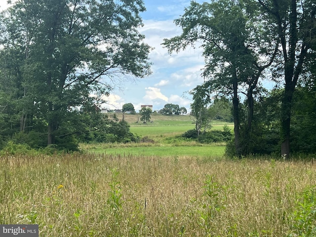 view of local wilderness