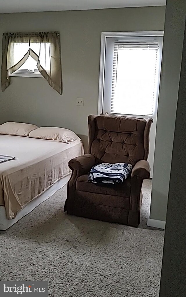 bedroom with carpet