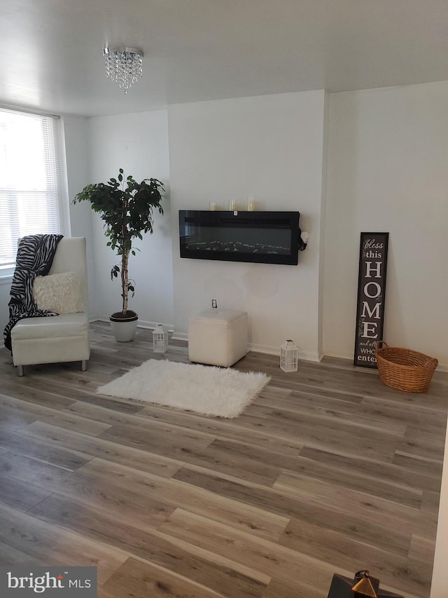 living room featuring hardwood / wood-style flooring