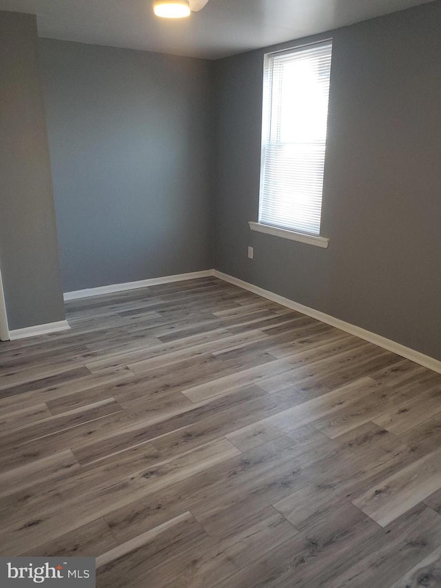 empty room with wood-type flooring