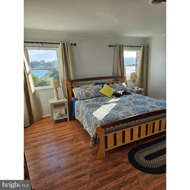 bedroom with multiple windows, a water view, and dark wood-type flooring