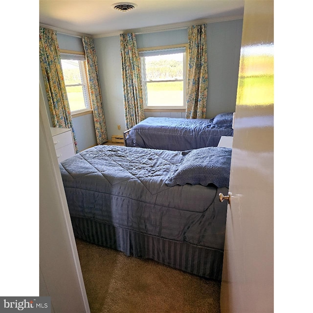 bedroom with carpet and multiple windows