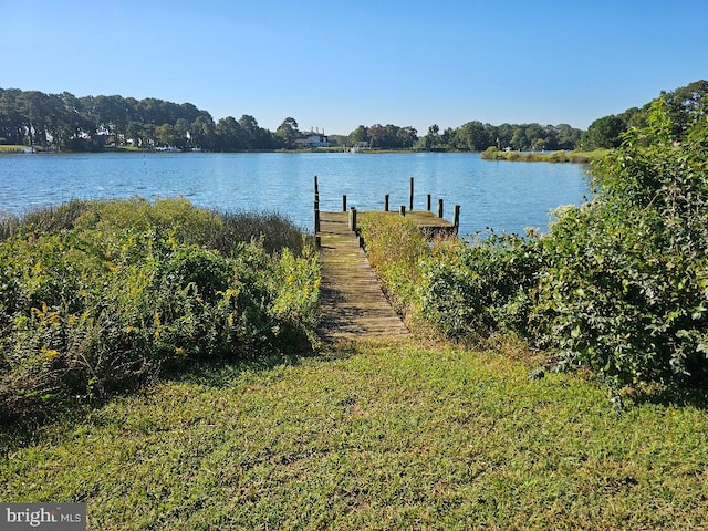 dock area featuring a water view