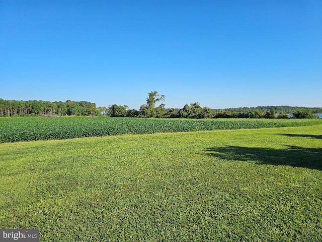 view of yard featuring a rural view