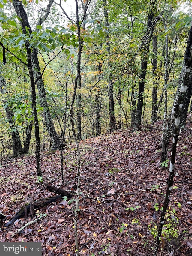 0 Valley View Rd, Basye VA, 22810 land for sale