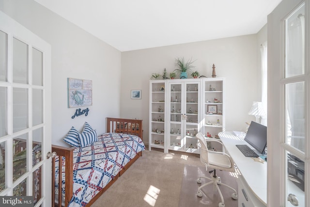 carpeted bedroom with multiple windows