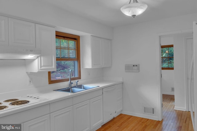 kitchen with a healthy amount of sunlight, white appliances, sink, and light hardwood / wood-style flooring