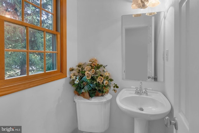 bathroom featuring sink and toilet