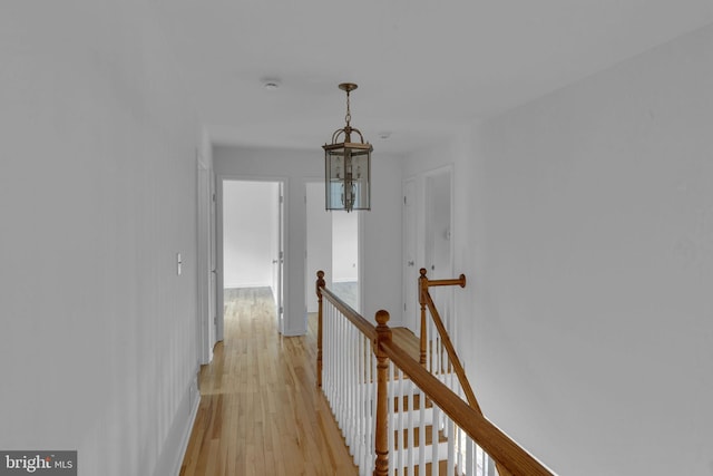 corridor with light wood-type flooring