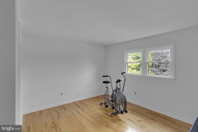 workout room featuring light hardwood / wood-style flooring