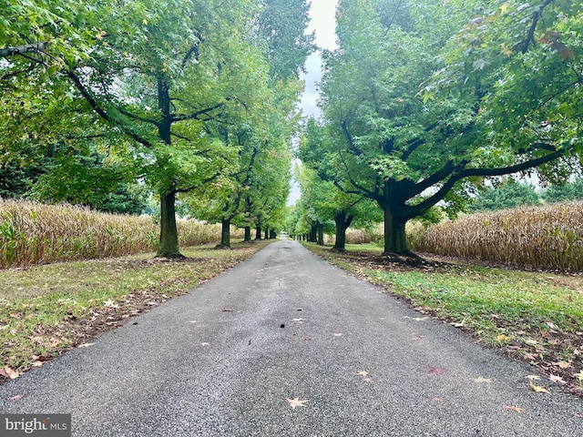 view of road