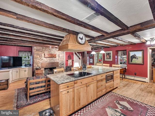 1414 Little Ln, Seven Valleys, PA 17360 - kitchen featuring stainless steel microwave, light wood-style flooring, a baseboard heating unit, and black electric stovetop