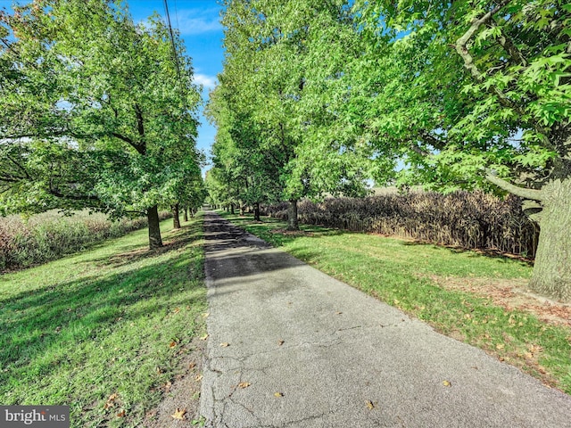1414 Little Ln, Seven Valleys, PA 17360 - view of road