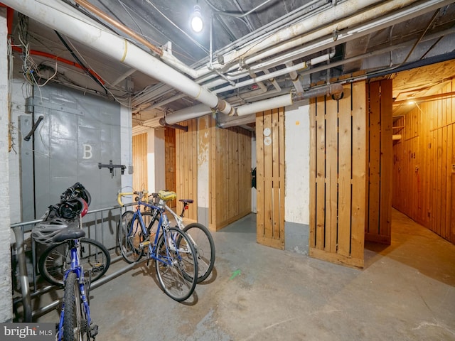 basement with wood walls