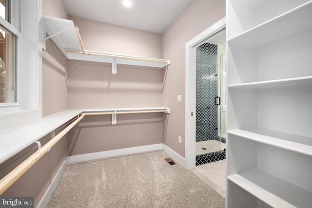 walk in closet with light colored carpet