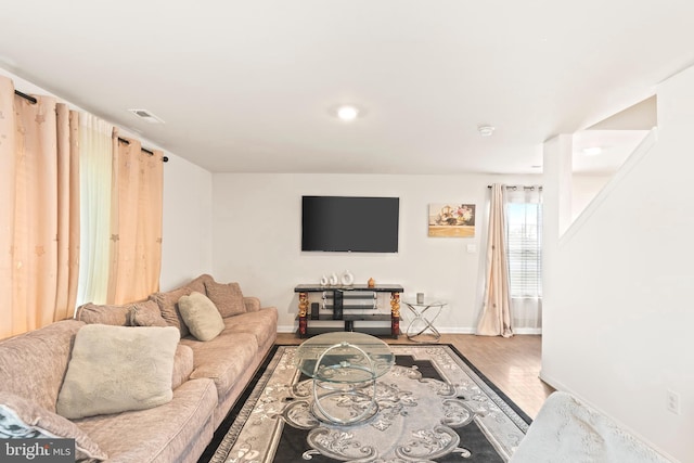 living room featuring wood-type flooring