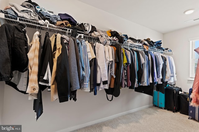 spacious closet with carpet flooring