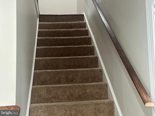 staircase with carpet