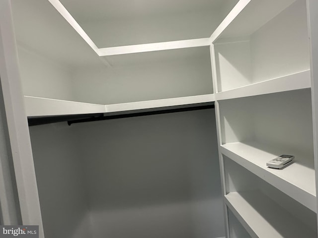 view of walk in closet