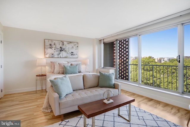 living room with light hardwood / wood-style floors and a wealth of natural light