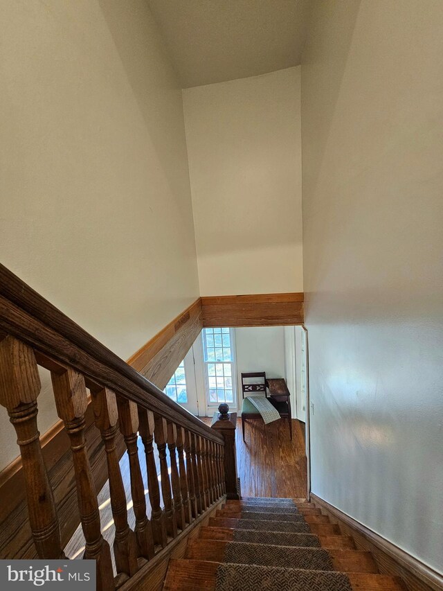 staircase with hardwood / wood-style floors