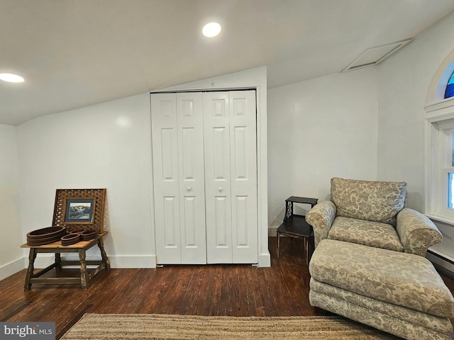 living area featuring dark wood-type flooring and lofted ceiling