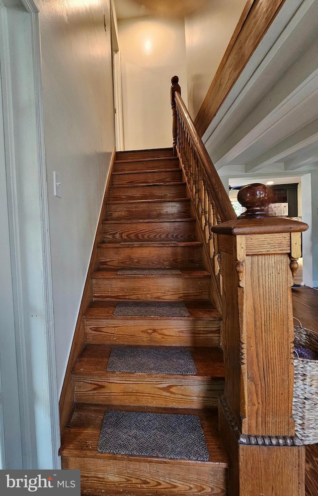 stairway with hardwood / wood-style flooring