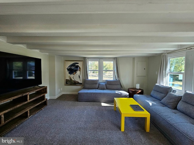 living room with carpet flooring and beam ceiling