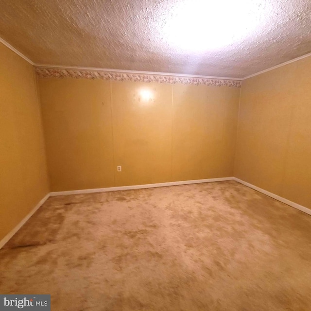 carpeted empty room with crown molding and a textured ceiling