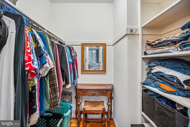 spacious closet featuring wood-type flooring