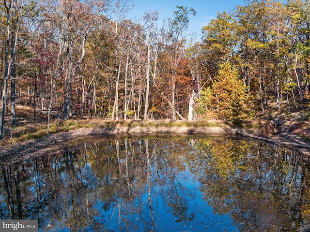 view of water feature